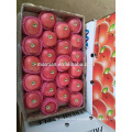 Manzana fresca Fruta fuji fresca en venta